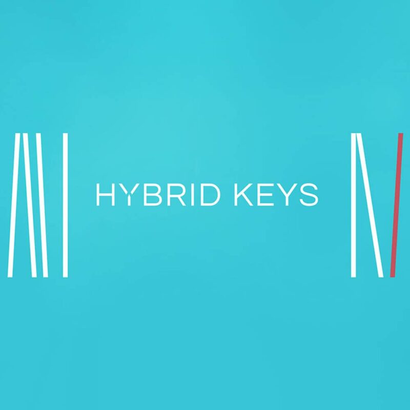 Hybrid Keys