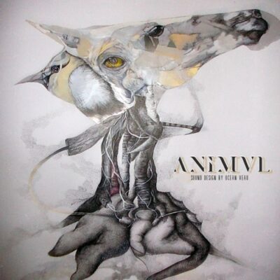Animvl