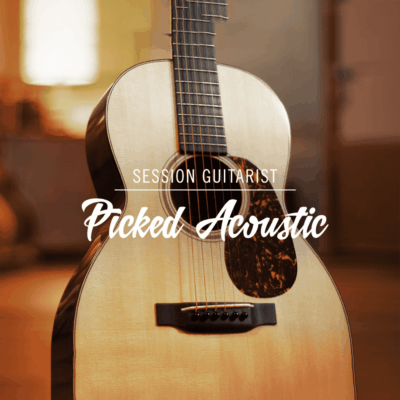 Session Guitarist Picked Acoustic