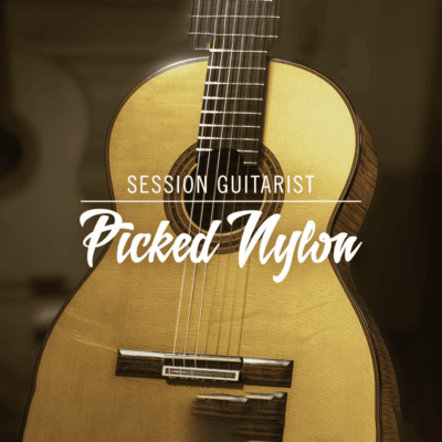 Session Guitarist Picked Nylon