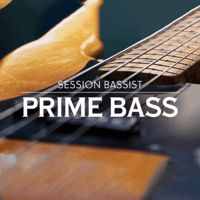 Session Bassist Prime Bass
