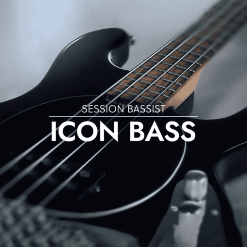 Session Bassist Icon Bass