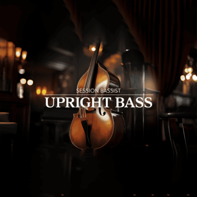 Session Bassist Upright Bass