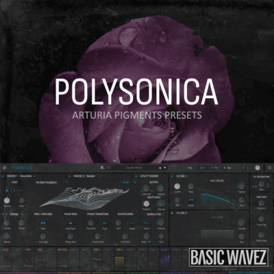 Polysonica