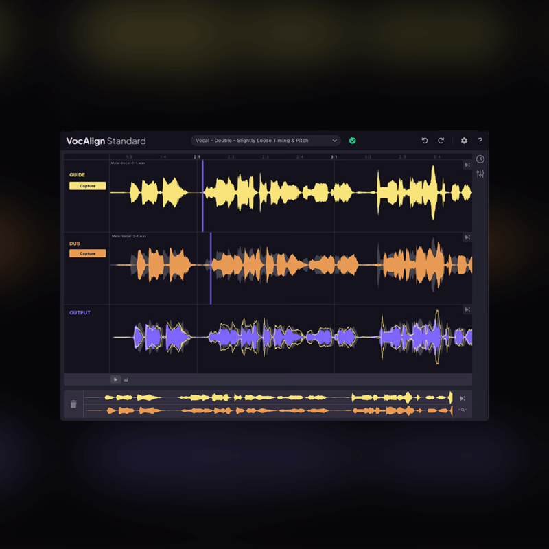 VocAlign 6 Pro (Windows)