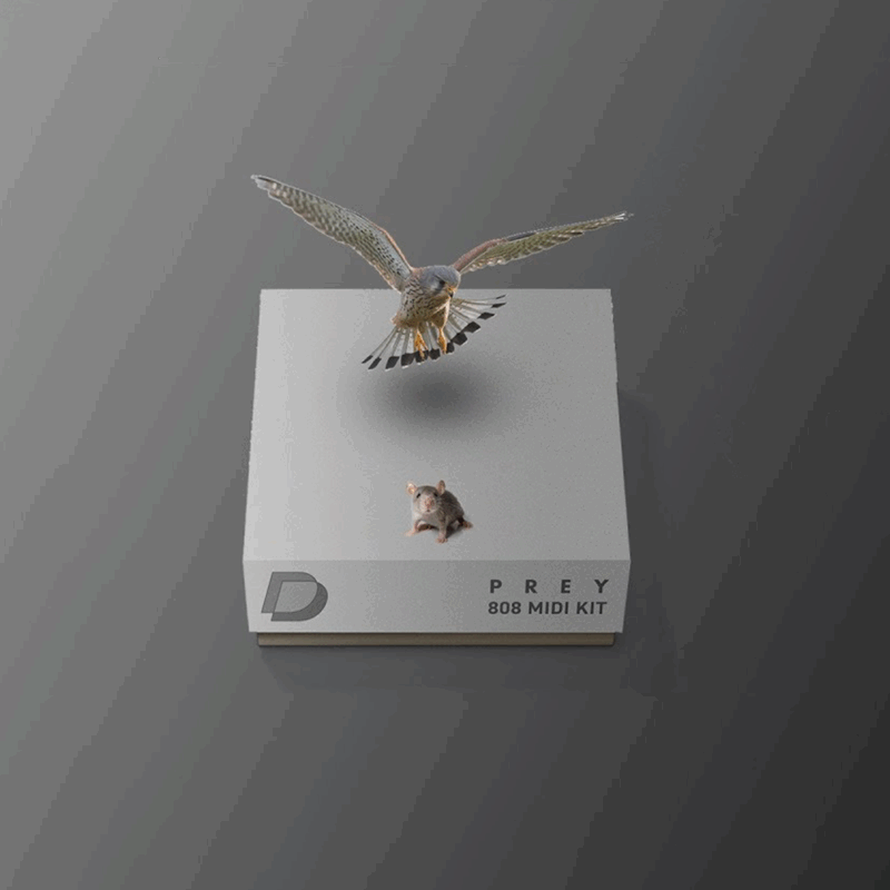Prey