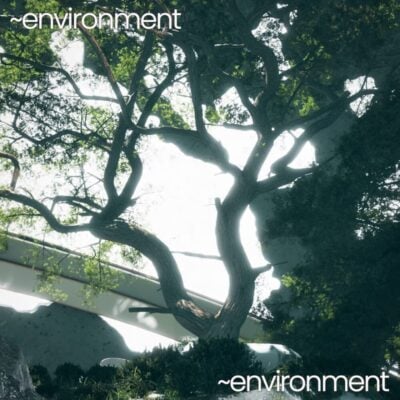 Environment