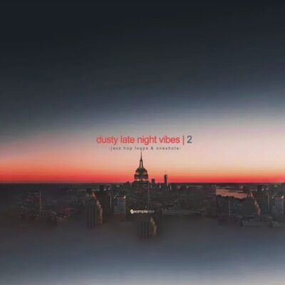 Dusty Late Night Vibes Vol. 2