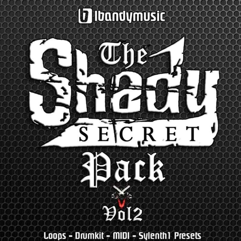 The Shady Secret Vol. 2