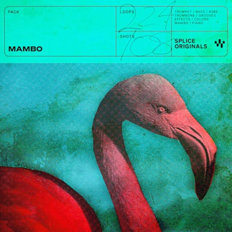 Mambo