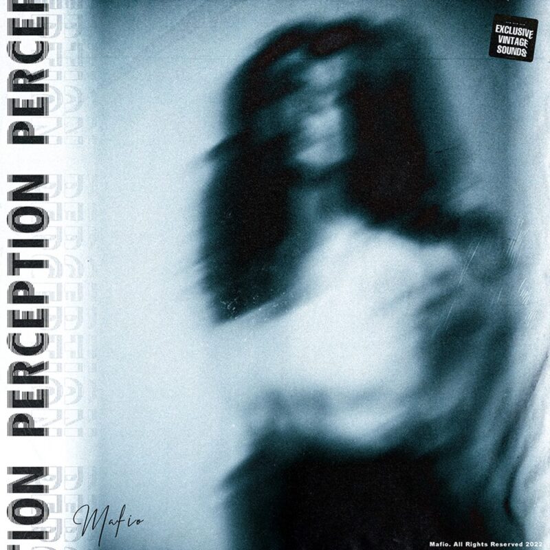 Perception