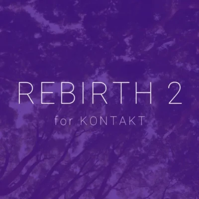 Rebirth 2