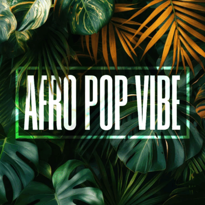 Afro Pop Vibe