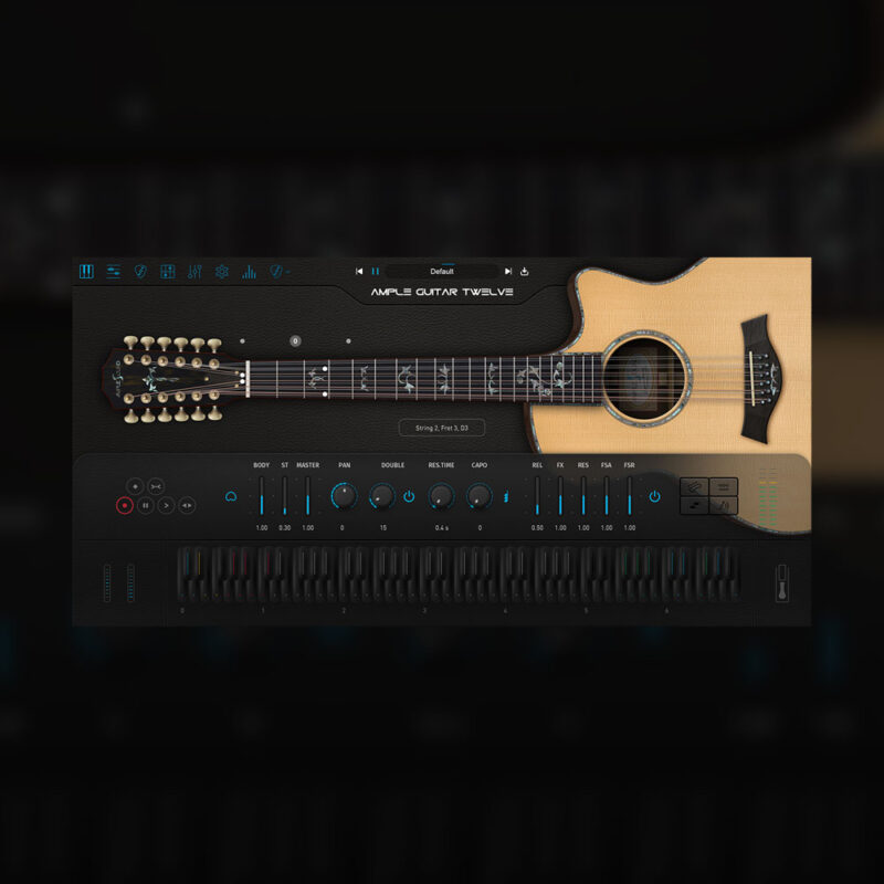 Acoustic Guitar - AG12
