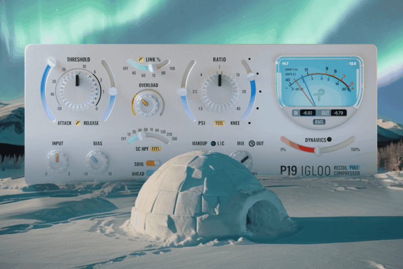 P19 Igloo