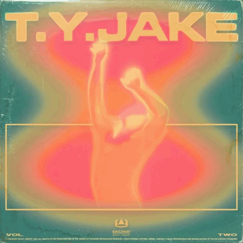 T.Y.Jake Vol. 2